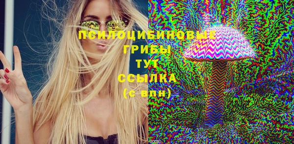 не бодяженный Ельня