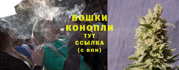 не бодяженный Ельня
