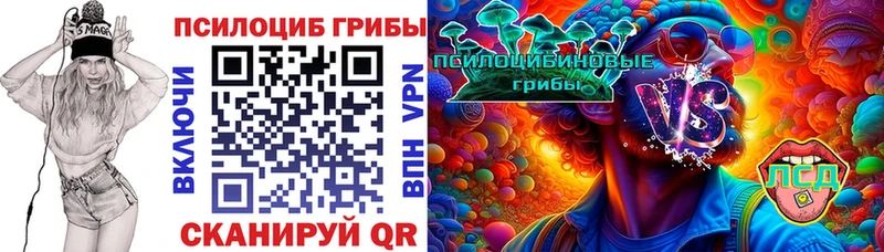Купить где  Чистополь  Псилоцибиновые грибы Magic Shrooms 
